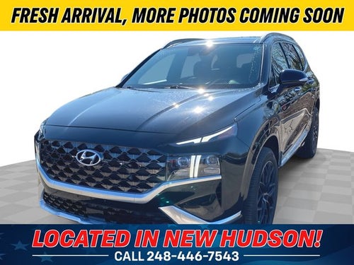 2023 Hyundai Santa Fe Calligraphy