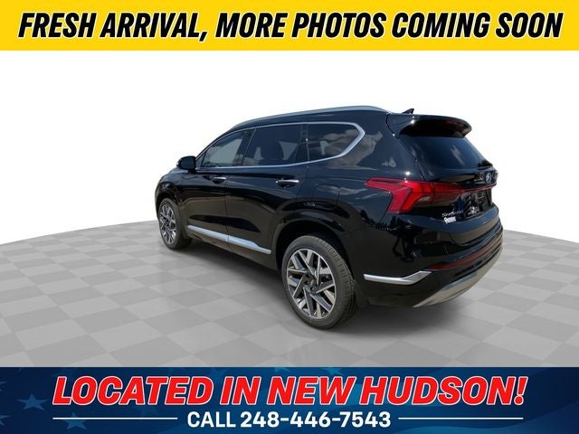 2023 Hyundai Santa Fe Calligraphy