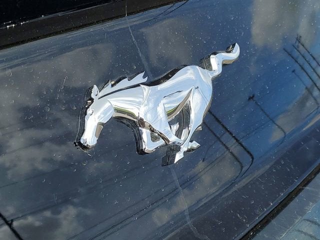 2015 Ford Mustang EcoBoost