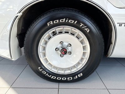 1981 Pontiac Firebird Trans Am PACE CAR