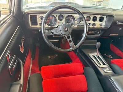 1981 Pontiac Firebird Trans Am PACE CAR