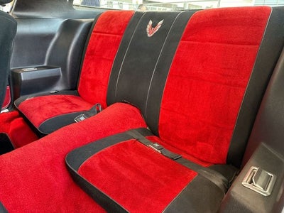 1981 Pontiac Firebird Trans Am PACE CAR