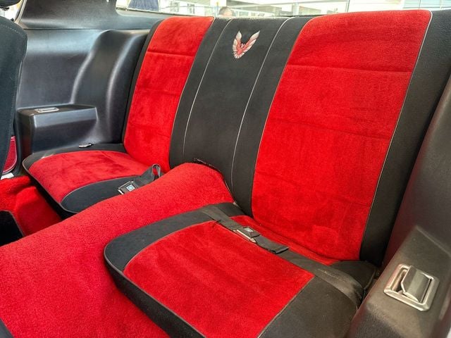 1981 Pontiac Firebird Trans Am PACE CAR