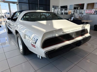 1981 Pontiac Firebird Trans Am PACE CAR