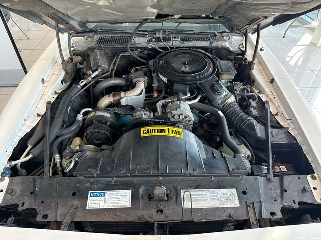 1981 Pontiac Firebird Trans Am PACE CAR