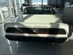 1981 Pontiac Firebird Trans Am PACE CAR