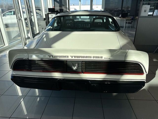 1981 Pontiac Firebird Trans Am PACE CAR