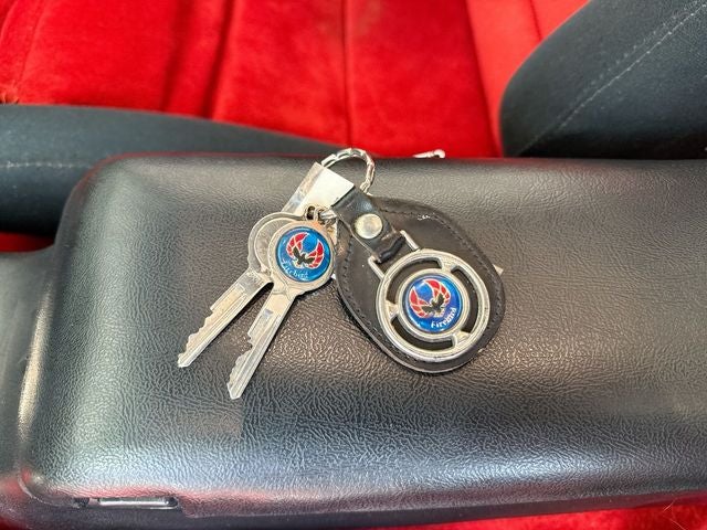 1981 Pontiac Firebird Trans Am PACE CAR