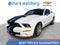 2009 Ford Mustang Shelby GT500