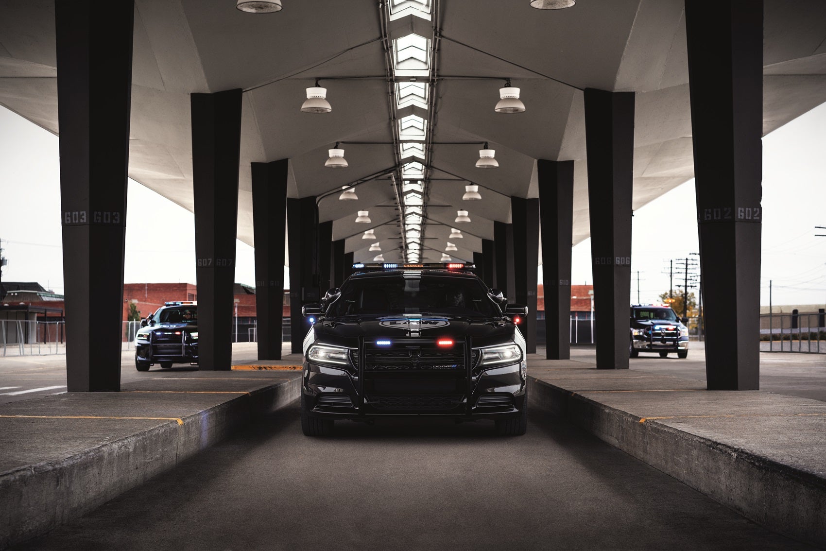 About Our Dodge Vehicles 