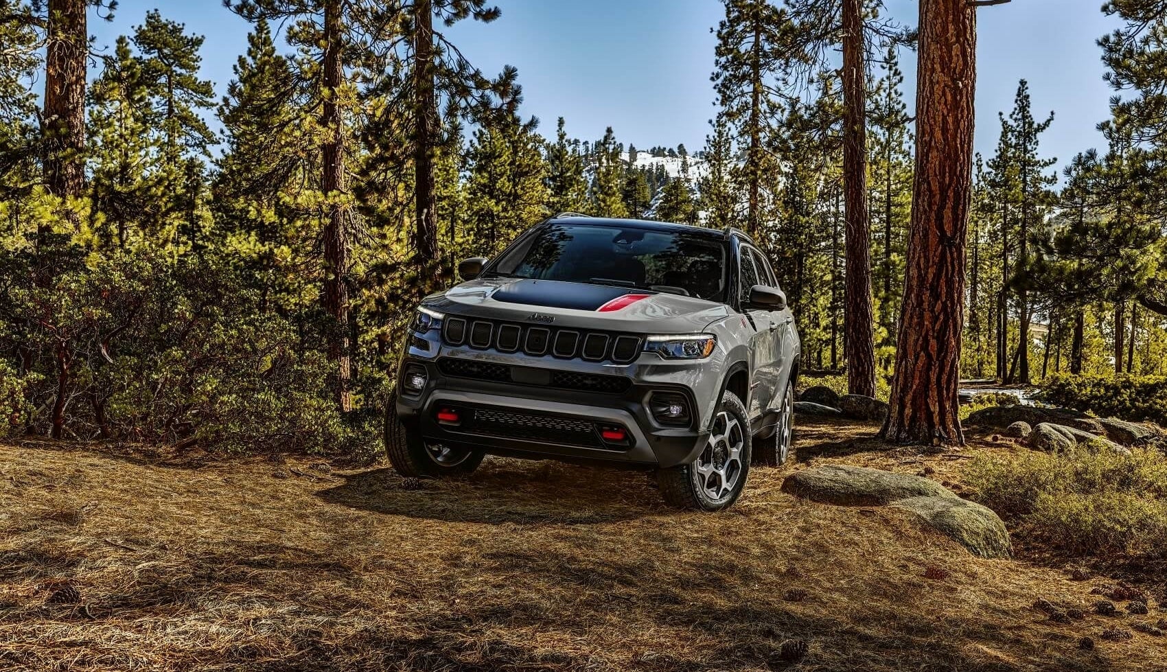 Car Fluid Change near Clarkston MI
